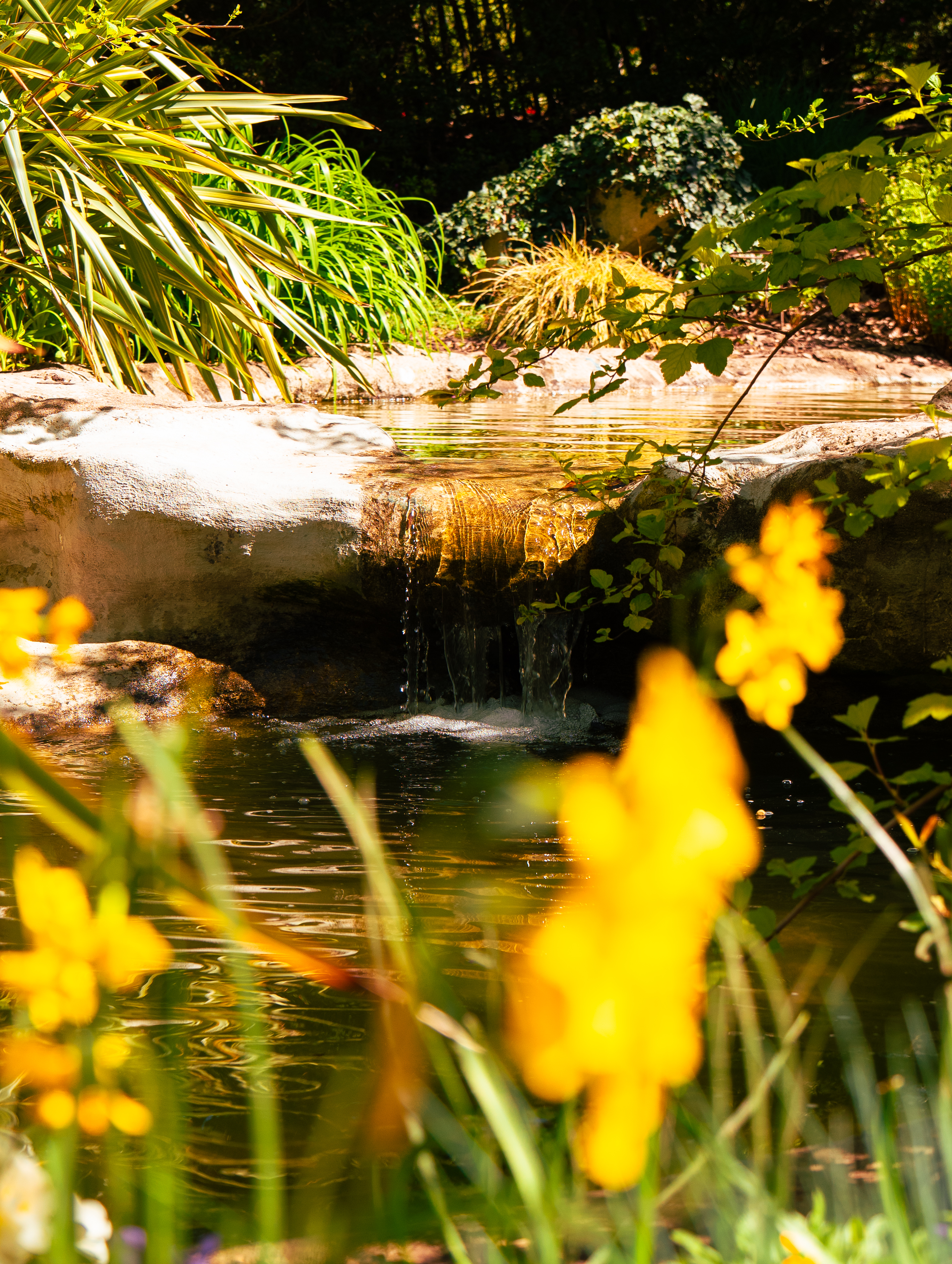 Nature — 19
