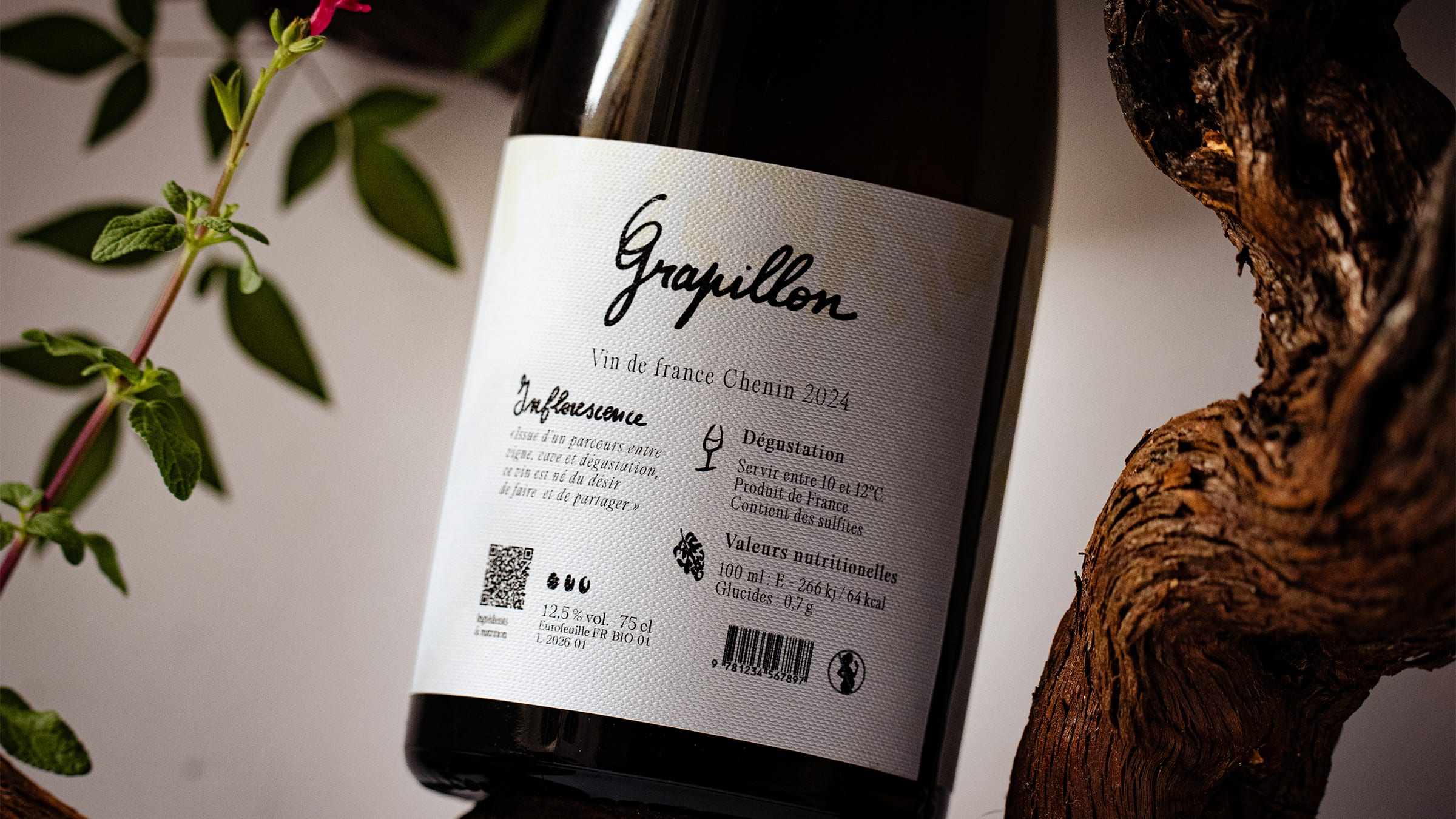Grapillon, macrophotographie de fleur de vigne